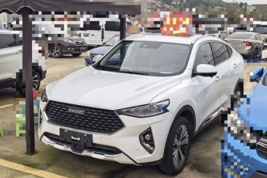 Used Haval F7x 2019 1.5T Two-Wheel Drive Intelligent Technology Edition
