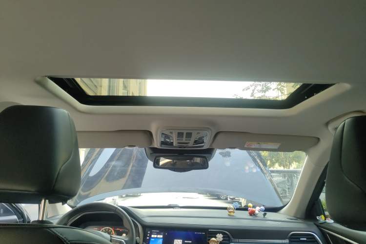 Used Haval F7x 2021 1.5T Two-Wheel Drive Smart Technology Edition Headliner