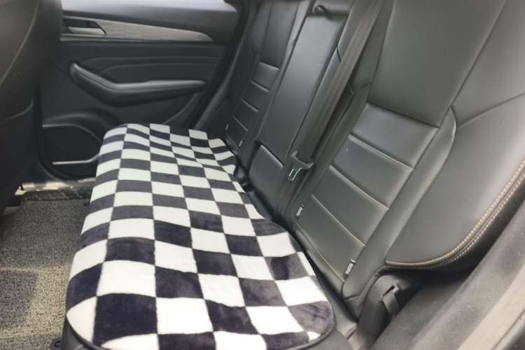 Used Haval F7x 2021 1.5T Two-Wheel Drive Smart & Trendy Edition Left Rear Seat