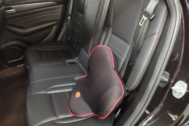 Used Haval F7x 2021 1.5T Two-Wheel Drive Smart & Trendy Edition Left Rear Seat
