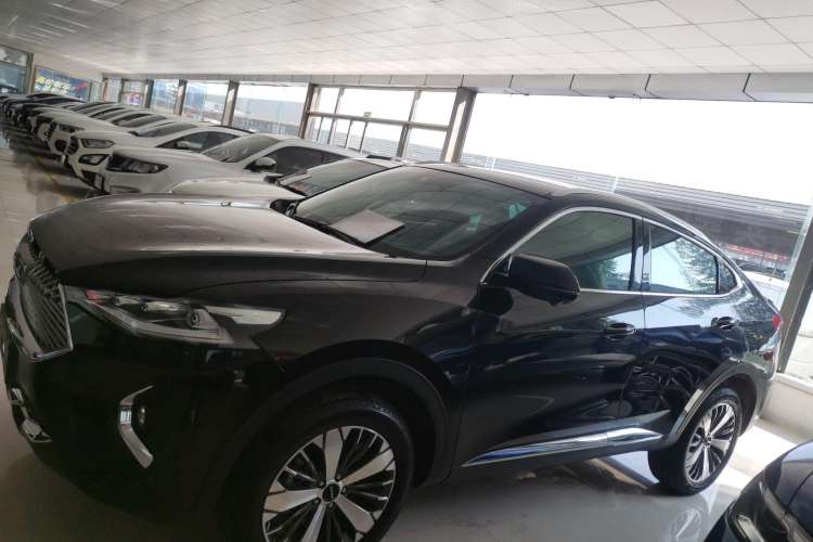 Used Haval F7x 2021 1.5T Two-Wheel Drive Smart Technology Edition Left Side
