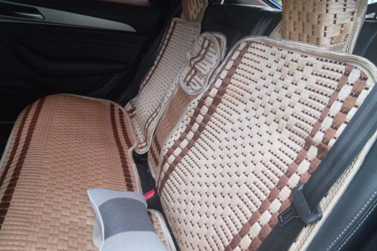 Used Haval F7x 2021 2.0T All-Wheel-Drive Intelligent Performance Version Left Rear Seat