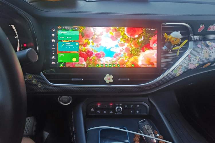 Used Haval F7x 2021 1.5T Two-Wheel Drive Smart & Trendy Edition Audio And AC Panel