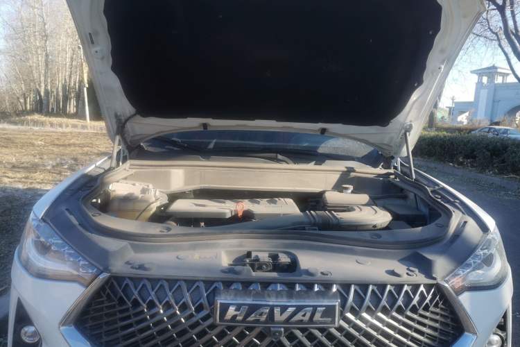 Used Haval F7x 2021 1.5T Two-Wheel Drive Smart & Trendy Edition Engine Bay