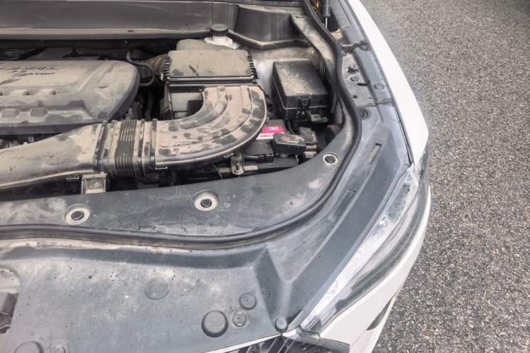 Used Haval F7x 2021 2.0T Two-Wheel Drive Smart & Trendy Edition Engine Bay Left