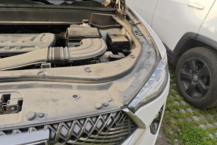 Used Haval F7x 2021 2.0T Two-Wheel Drive Smart & Trendy Edition Engine Bay Left
