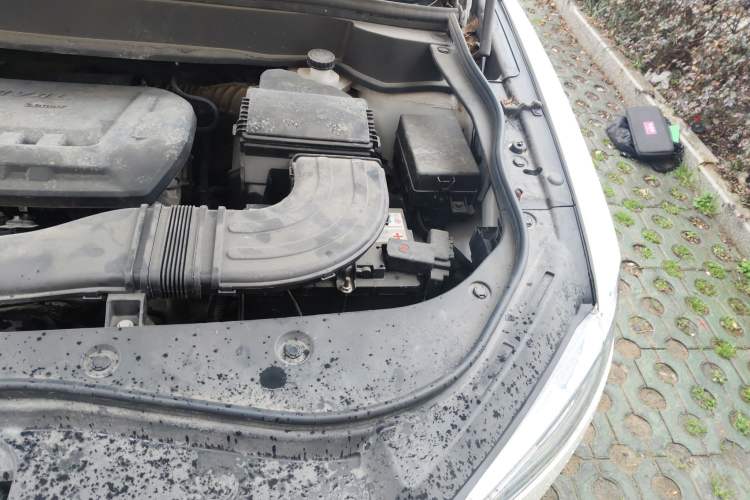 Used Haval F7x 2021 2.0T Two-Wheel Drive Smart & Trendy Edition Engine Bay Left