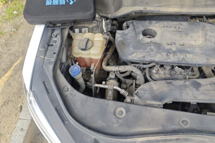 Used Haval F7x 2021 2.0T Two-Wheel Drive Smart & Trendy Edition Engine Bay Right