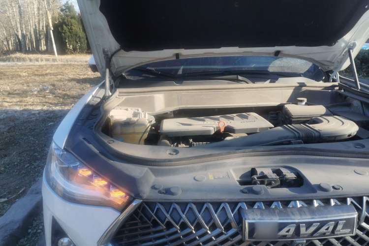 Used Haval F7x 2021 1.5T Two-Wheel Drive Smart & Trendy Edition Engine Bay Right