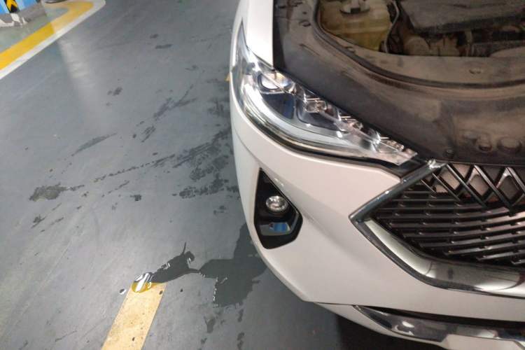 Used Haval F7x 2021 1.5T Two-Wheel Drive Smart & Trendy Edition Engine Bay Right