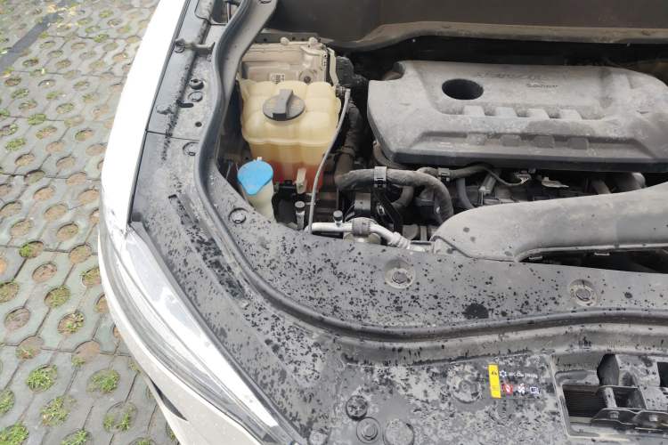 Used Haval F7x 2021 2.0T Two-Wheel Drive Smart & Trendy Edition Engine Bay Right
