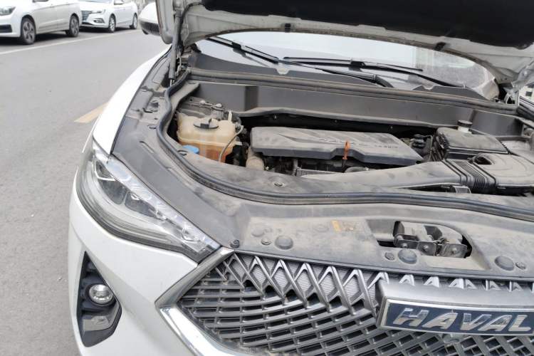 Used Haval F7x 2021 1.5T Two-Wheel Drive Smart & Trendy Edition Engine Bay Right