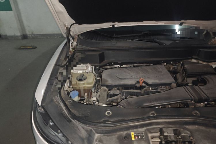 Used Haval F7x 2021 1.5T Two-Wheel Drive Smart & Trendy Edition Engine Bay Right