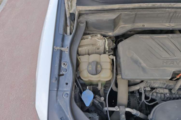 Used Haval F7x 2021 1.5T Two-Wheel Drive Smart & Trendy Edition Engine Bay Right