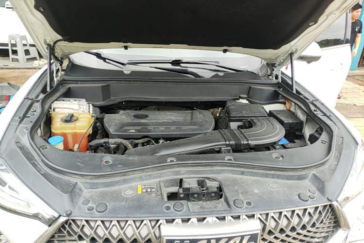 Used Haval F7x 2021 2.0T Two-Wheel Drive Intelligent Technology Edition Engine Bay