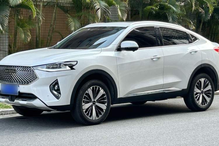 Used Haval F7x 2021 2.0T Two-Wheel Drive Intelligent Technology Edition Exterior 3