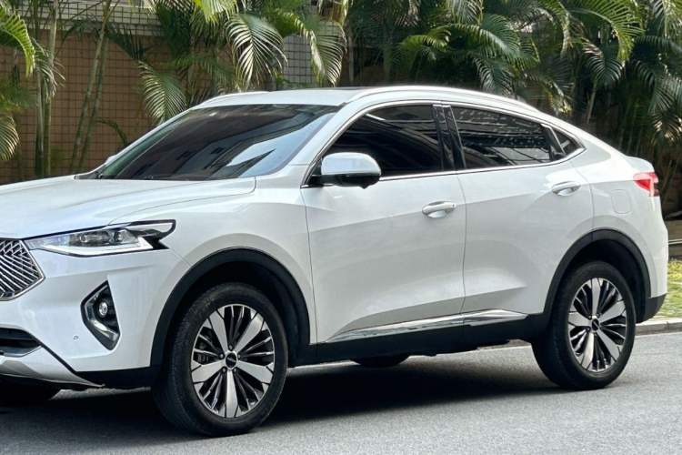 Used Haval F7x 2021 2.0T Two-Wheel Drive Intelligent Technology Edition Exterior 4