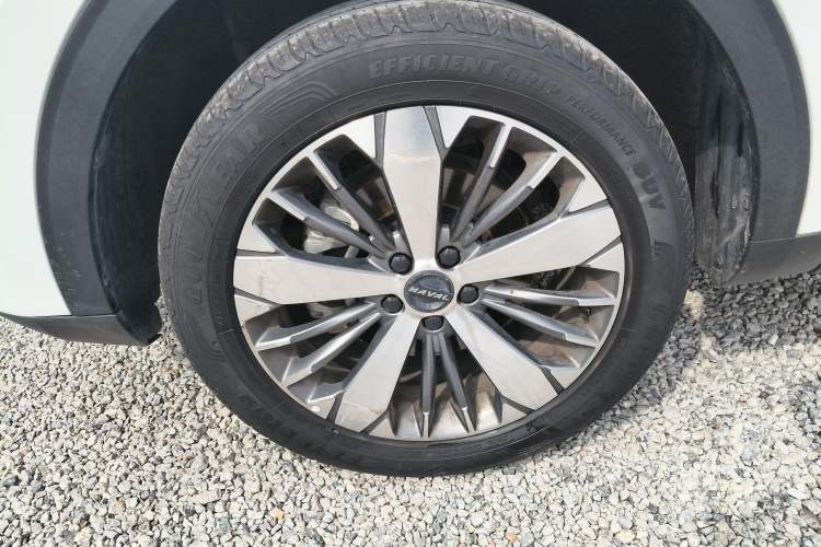 Used Haval F7x 2021 1.5T Two-Wheel Drive Smart Technology Edition Exterior 4