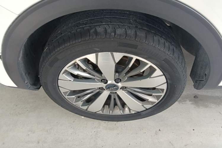 Used Haval F7x 2021 1.5T Two-Wheel Drive Smart Technology Edition Exterior 4