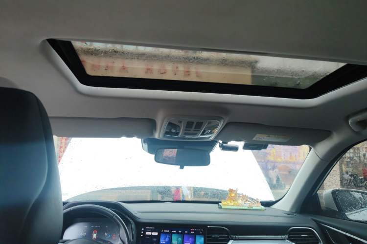 Used Haval F7x 2021 2.0T Two-Wheel Drive Smart & Trendy Edition Headliner