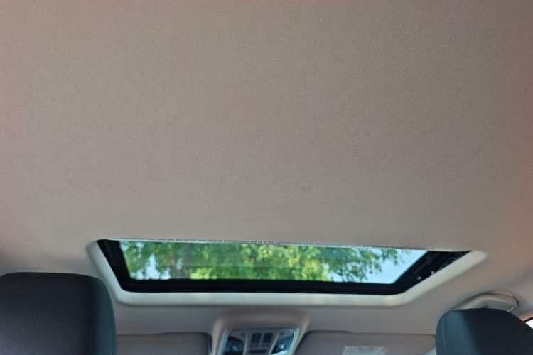 Used Haval F7x 2021 1.5T Two-Wheel Drive Smart Technology Edition Headliner