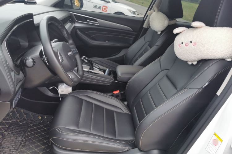 Used Haval F7x 2021 1.5T Two-Wheel Drive Smart Technology Edition Left Front Seat