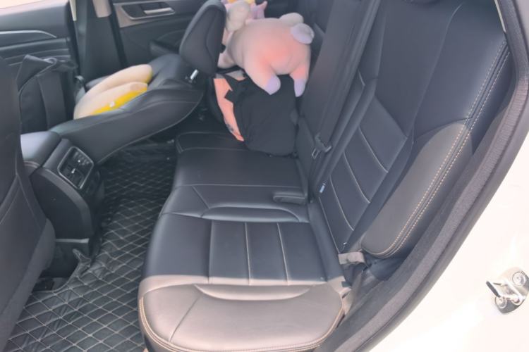 Used Haval F7x 2021 1.5T Two-Wheel Drive Smart & Trendy Edition Left Rear Seat
