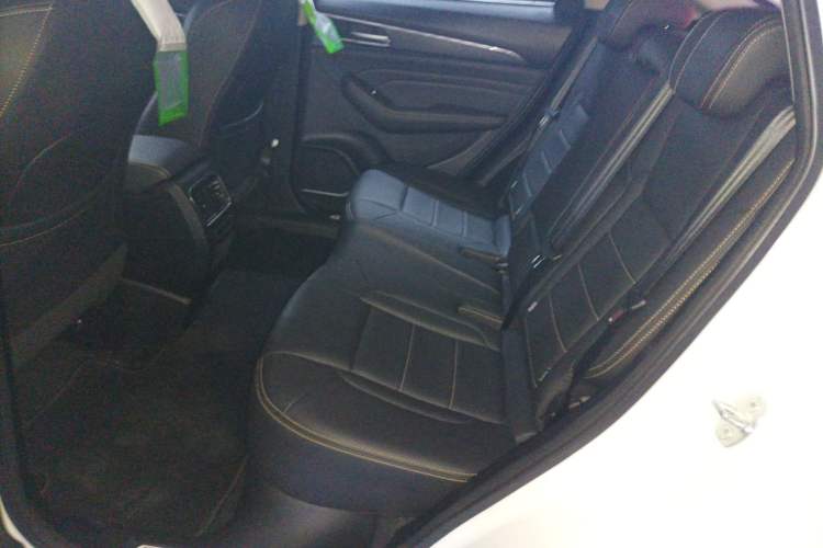 Used Haval F7x 2021 1.5T Two-Wheel Drive Smart & Trendy Edition Left Rear Seat