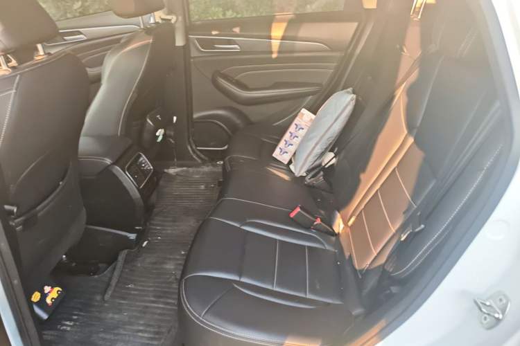 Used Haval F7x 2021 1.5T Two-Wheel Drive Smart & Trendy Edition Left Rear Seat