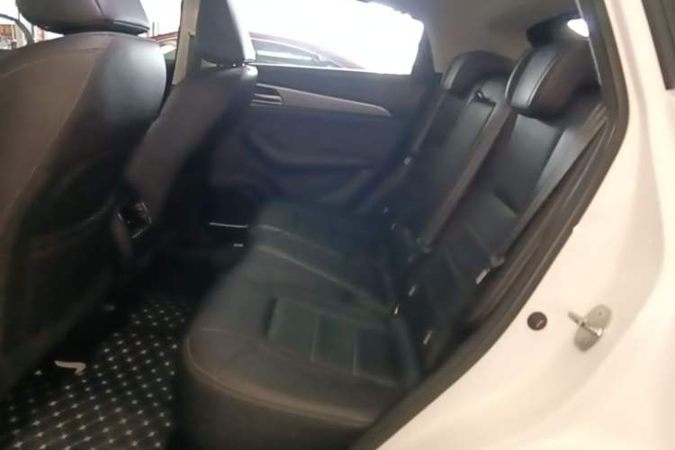 Used Haval F7x 2021 2.0T Two-Wheel Drive Intelligent Technology Edition Left Rear Seat