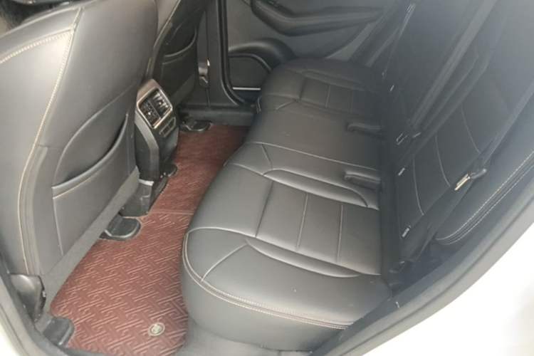 Used Haval F7x 2021 1.5T Two-Wheel Drive Smart Technology Edition Left Rear Seat