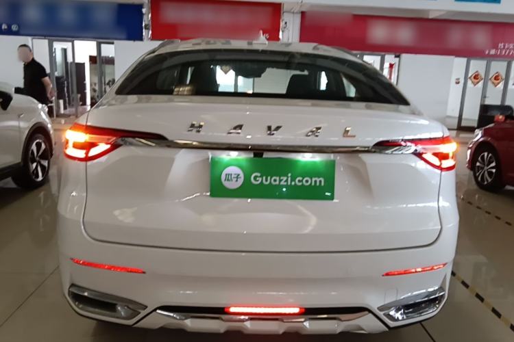 Used Haval F7x 2021 2.0T Two-Wheel Drive Intelligent Technology Edition Rear