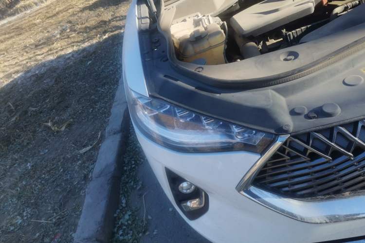 Used Haval F7x 2021 1.5T Two-Wheel Drive Smart & Trendy Edition Right Front Headlight