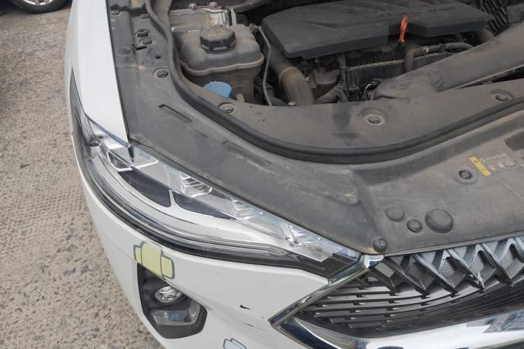 Used Haval F7x 2021 1.5T Two-Wheel Drive Smart & Trendy Edition Right Front Headlight