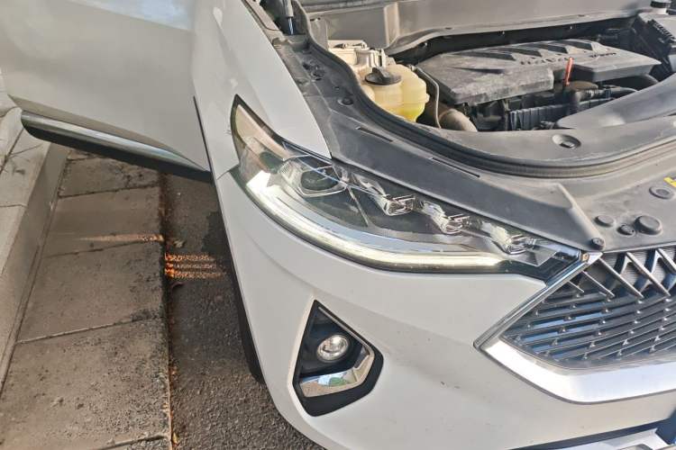Used Haval F7x 2021 1.5T Two-Wheel Drive Smart & Trendy Edition Right Front Headlight