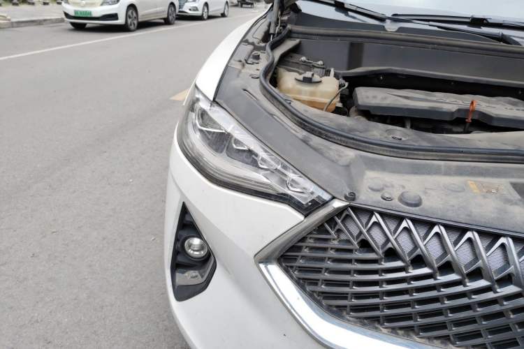 Used Haval F7x 2021 1.5T Two-Wheel Drive Smart & Trendy Edition Right Front Headlight