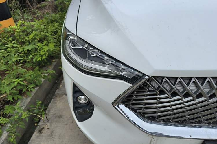 Used Haval F7x 2021 1.5T Two-Wheel Drive Smart & Trendy Edition Right Front Headlight