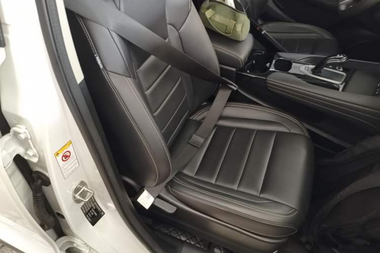 Used Haval F7x 2021 1.5T Two-Wheel Drive Smart & Trendy Edition Right Front Seat