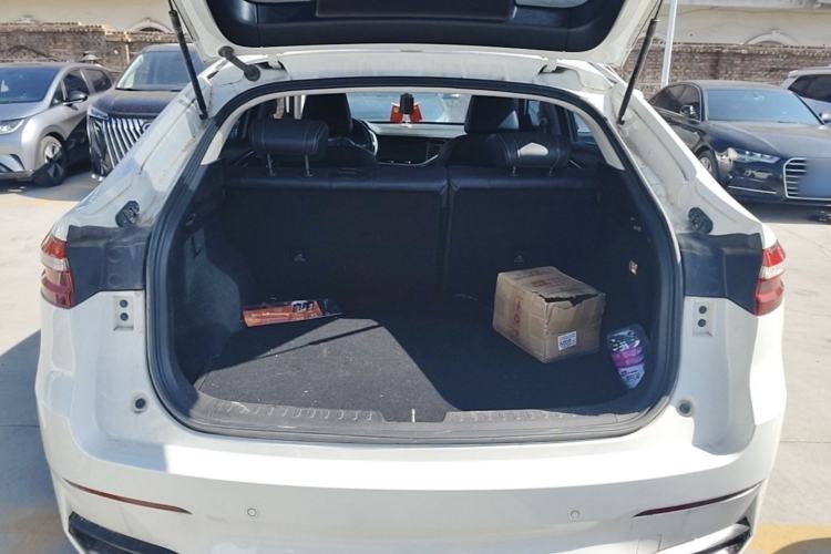 Used Haval F7x 2021 1.5T Two-Wheel Drive Smart & Trendy Edition Trunk