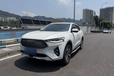 Used Haval F7x 2021 1.5T Two-Wheel Drive Smart Technology Edition