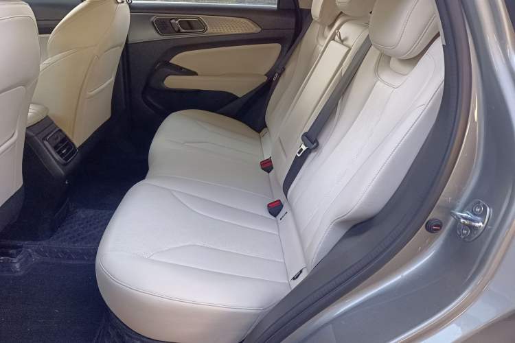 Used Haval Fierce Dragon 2023 1.5L 110KM Navigation Edition Left Rear Seat