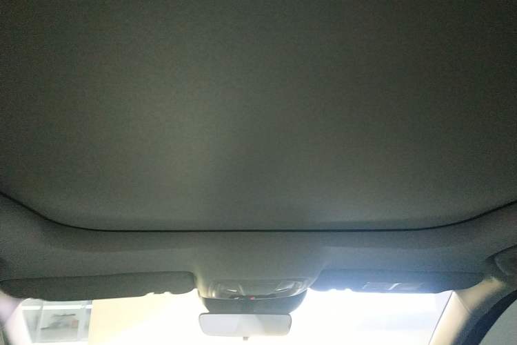 Used Haval Fierce Dragon 2023 1.5L 110KM Navigation Edition Headliner