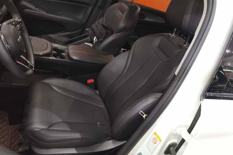 Used Haval Fierce Dragon 2023 1.5L 110KM Lingdong Edition Left Front Seat