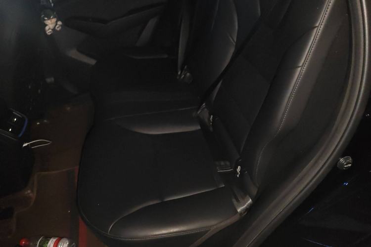 Used Haval Fierce Dragon Max 2023 1.5L Hi4 105 Four-Wheel Drive Navigation Edition Left Rear Seat