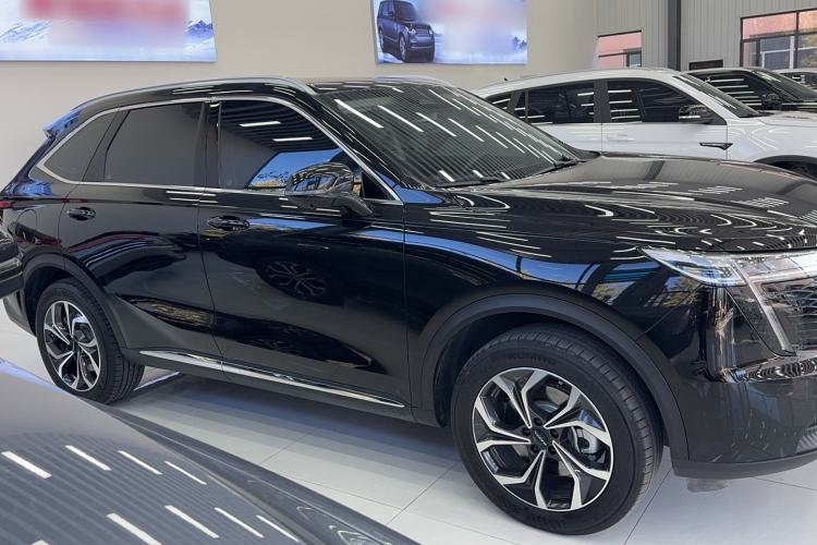 Used Haval Fierce Dragon Max 2023 1.5L Hi4 105 Four-Wheel Drive Navigation Edition Exterior 2