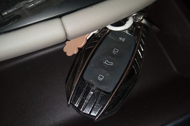 Used Haval Fierce Dragon Max 2023 1.5L Hi4 105 Four-Wheel Drive Navigation Edition Interior 1