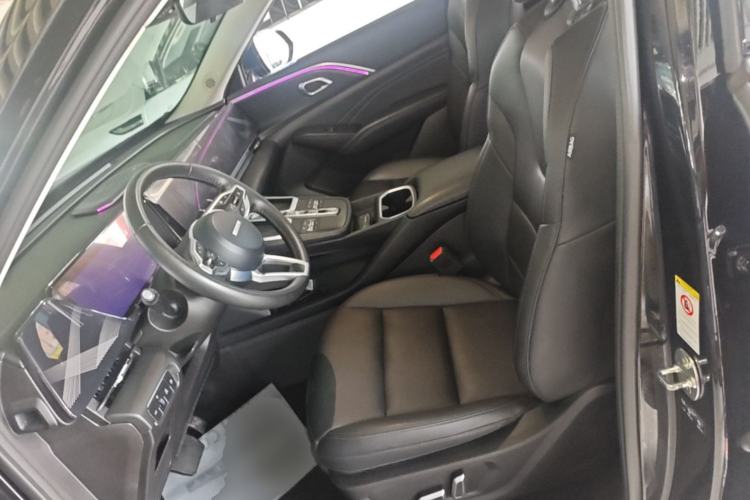 Used Haval Fierce Dragon Max 2023 1.5L Hi4 105 Four-Wheel Drive Navigation Edition Left Front Seat