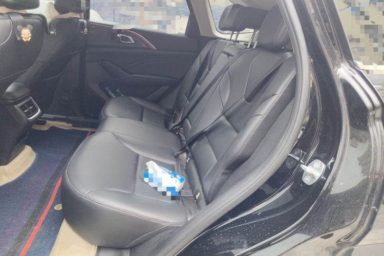 Used Haval Fierce Dragon Max 2023 1.5L Hi4 105 Four-Wheel Drive Navigation Edition Left Rear Seat