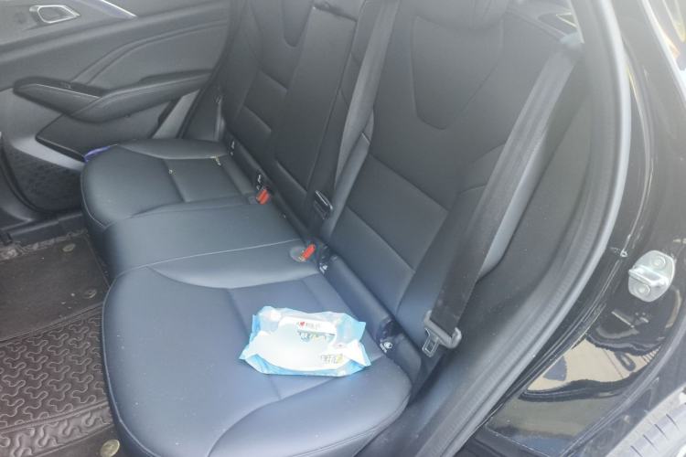 Used Haval Fierce Dragon Max 2023 1.5L Hi4 105 Four-Wheel Drive Navigation Edition Left Rear Seat