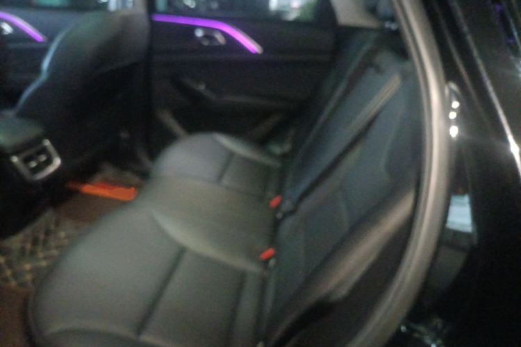Used Haval Fierce Dragon Max 2023 1.5L Hi4 105 Four-Wheel Drive Smart Flagship Edition Left Rear Seat